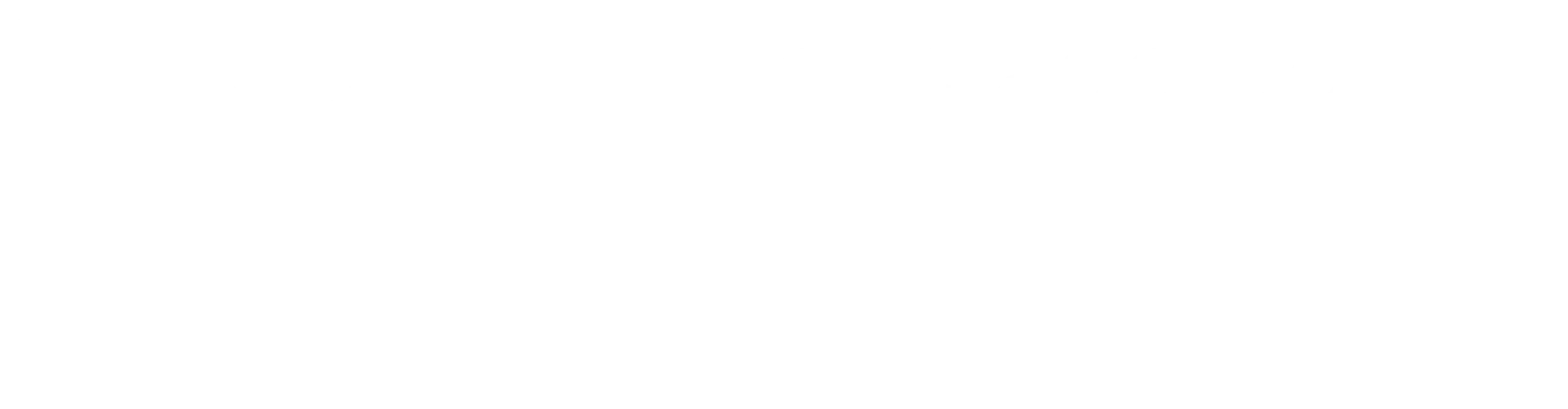 ES_Financiado_por_la_Union_Europea_RGB_WHITE_Outline–scaled